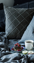 Dekokissen aus Samt Dekokissen aus Samt