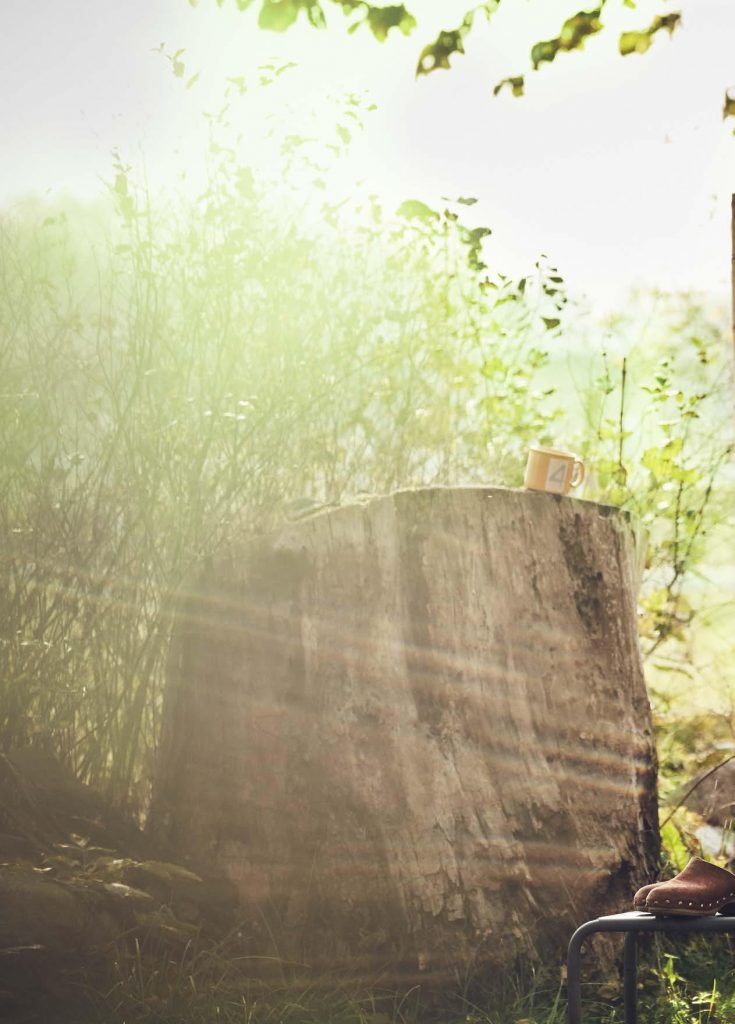 Elegante Tischdekoration